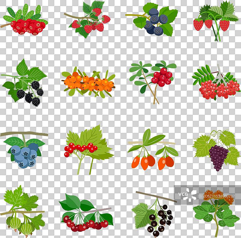 多彩浆果图标集图片素材