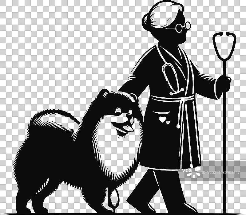 孤立在白色背景上的博美犬肖像图片素材