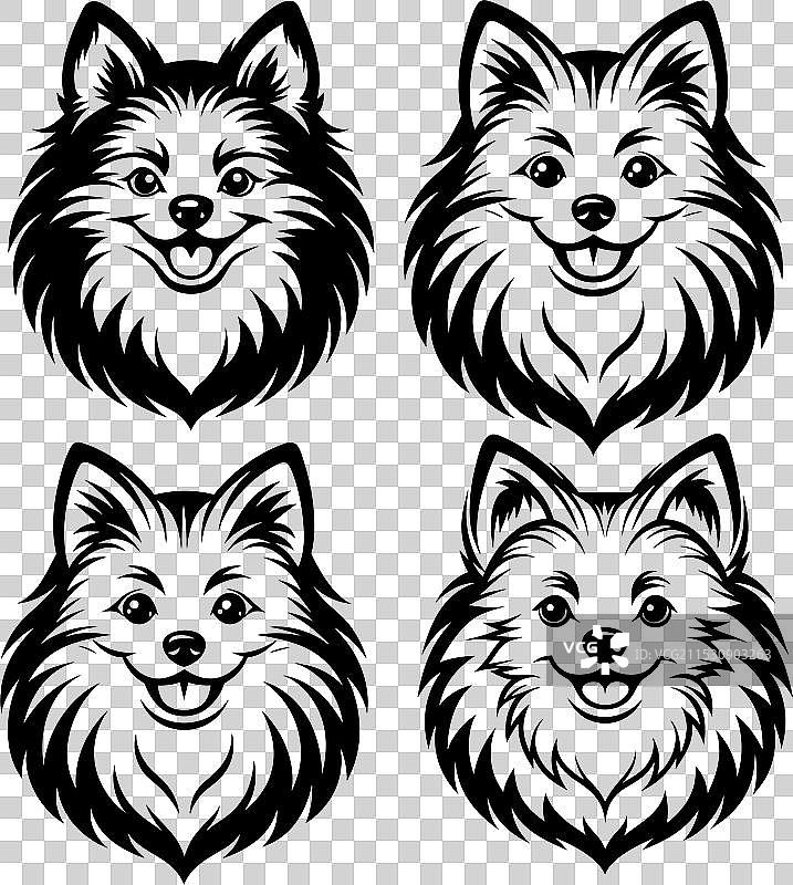 孤立在白色背景上的博美犬肖像图片素材