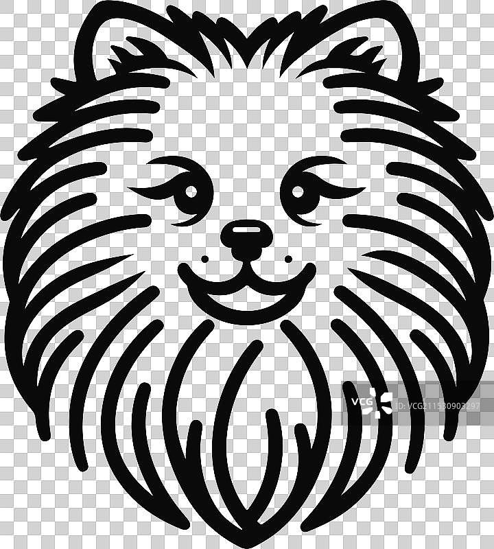 孤立在白色背景上的博美犬肖像图片素材