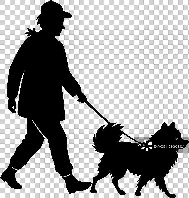 孤立在白色背景上的博美犬肖像图片素材