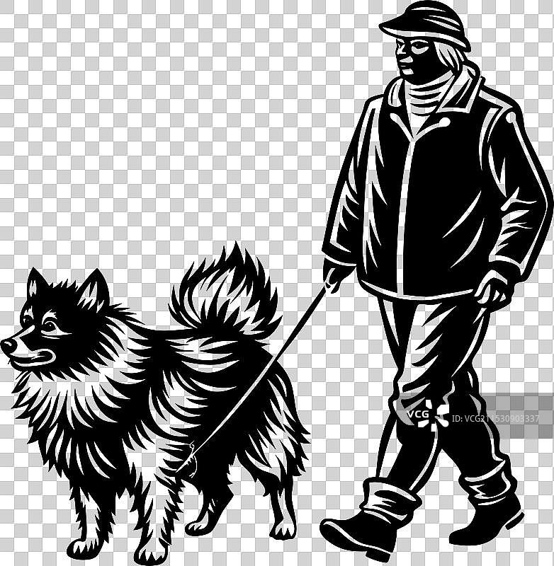 孤立在白色背景上的博美犬肖像图片素材