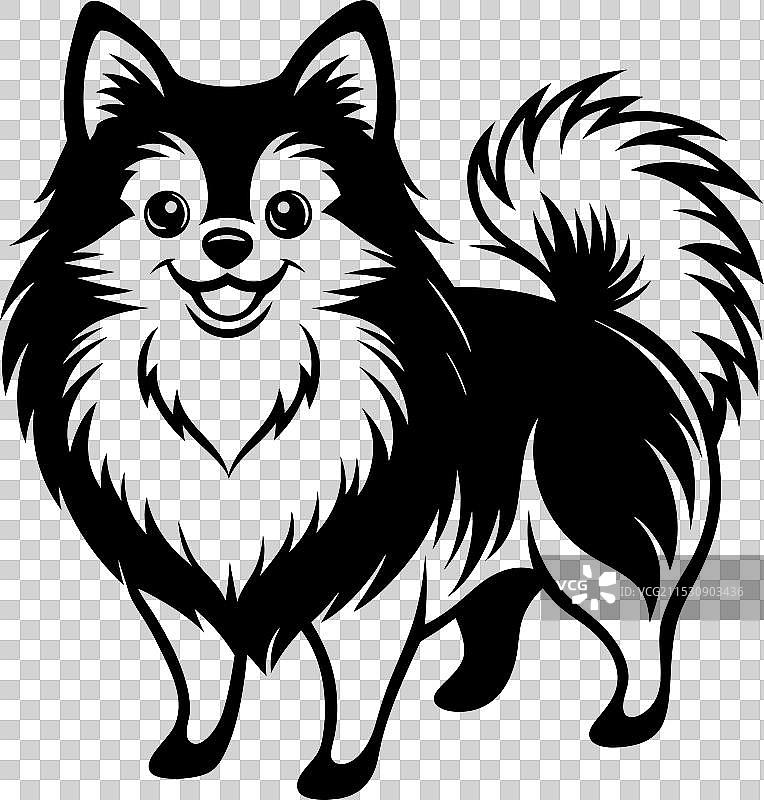 孤立在白色背景上的博美犬肖像图片素材