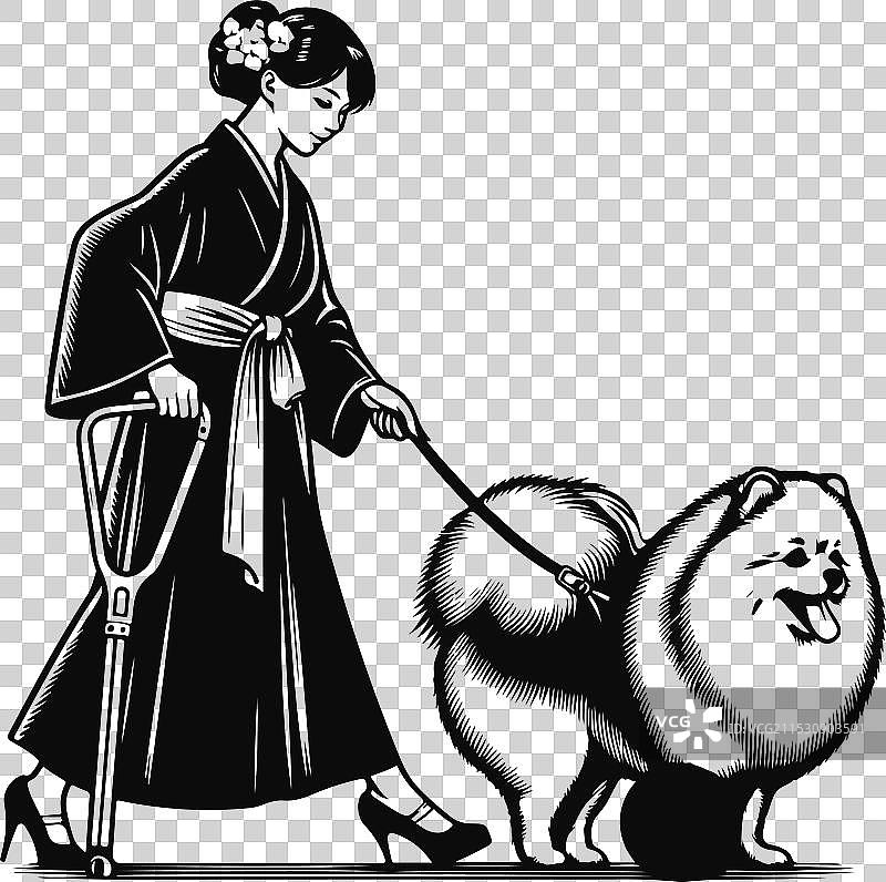 孤立在白色背景上的博美犬肖像图片素材