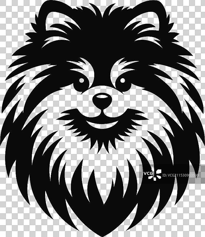 孤立在白色背景上的博美犬肖像图片素材