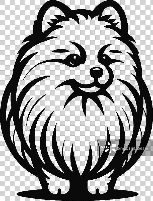 孤立在白色背景上的博美犬肖像图片素材