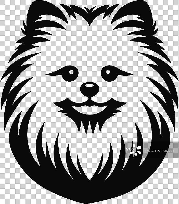 孤立在白色背景上的博美犬肖像图片素材