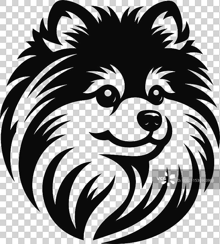 孤立在白色背景上的博美犬肖像图片素材