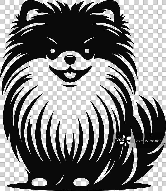 孤立在白色背景上的博美犬肖像图片素材