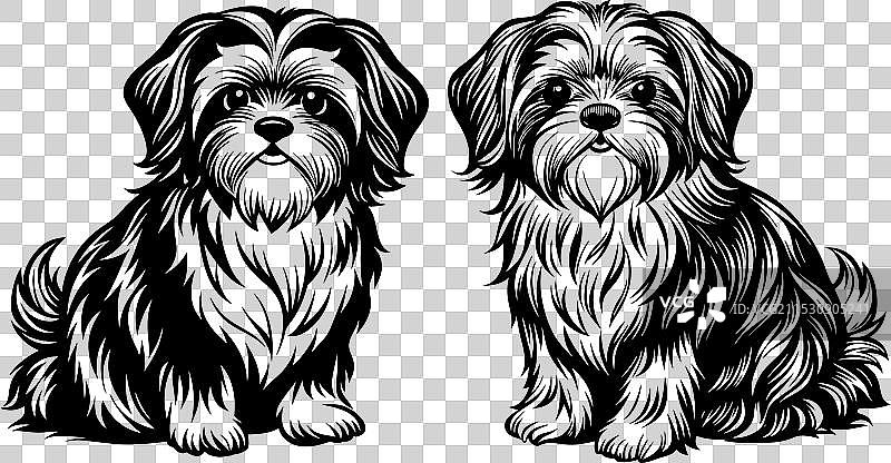 可爱的西施犬剪影设计图片素材