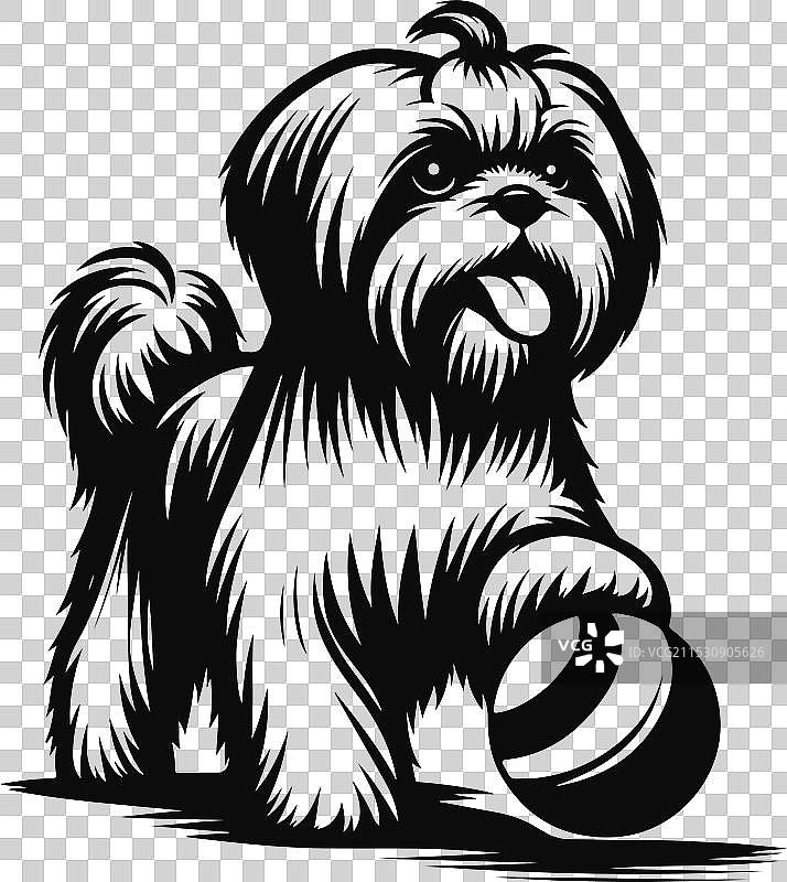 可爱的西施犬剪影设计图片素材