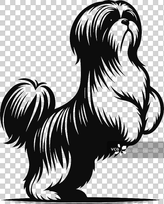 可爱的西施犬剪影设计图片素材