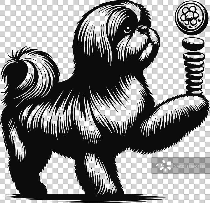 可爱的西施犬剪影设计图片素材