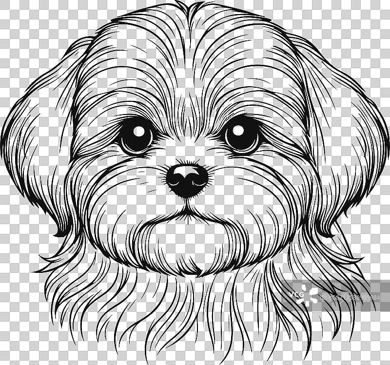 可爱的西施犬线条艺术插图图片素材