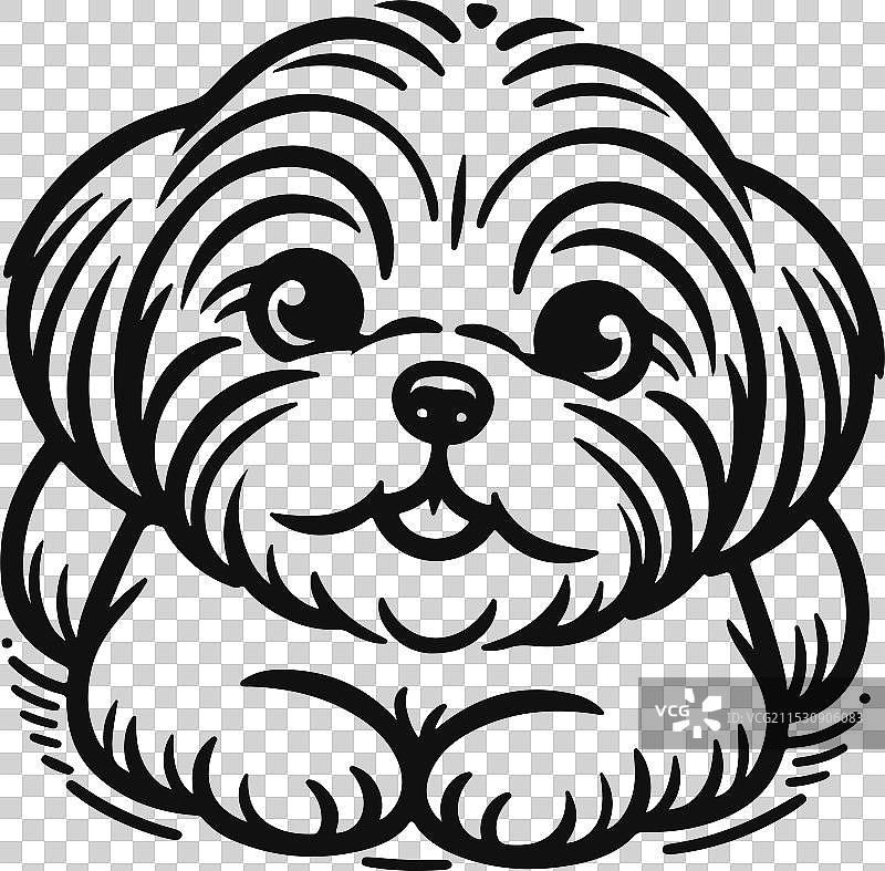 可爱的西施犬线条画图片素材