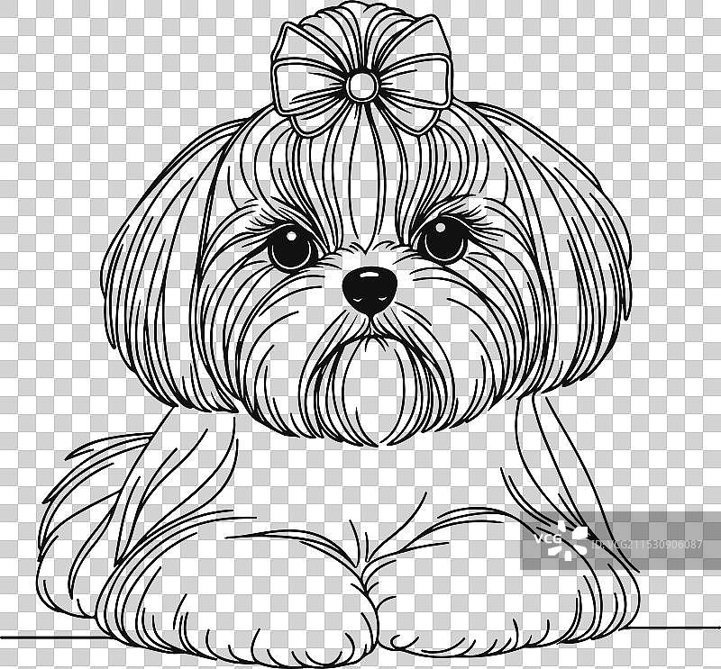 可爱的西施犬线条艺术插图图片素材