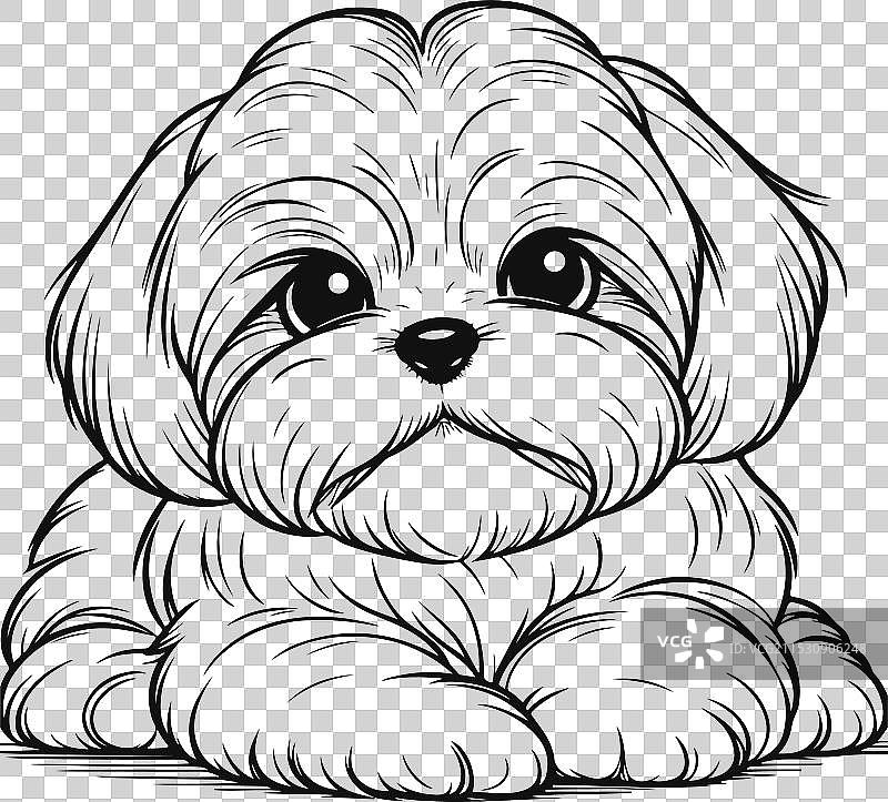 可爱的狮子狗线条艺术图图片素材