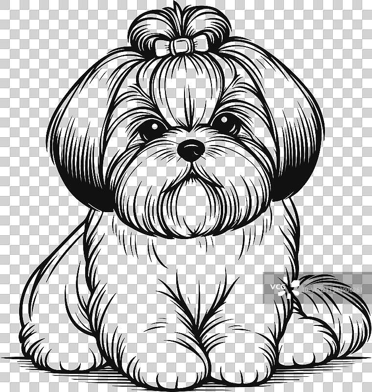 可爱的狮子狗线条艺术图图片素材