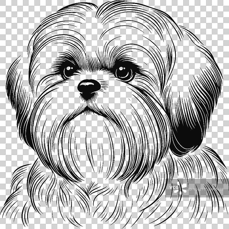 可爱的西施犬线条艺术插图图片素材