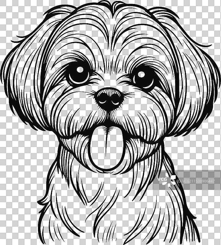 可爱的西施犬线条画图片素材