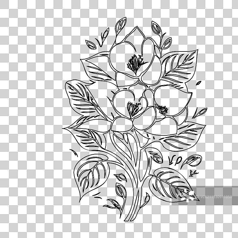 黑心兰花植物素描轮廓图片素材