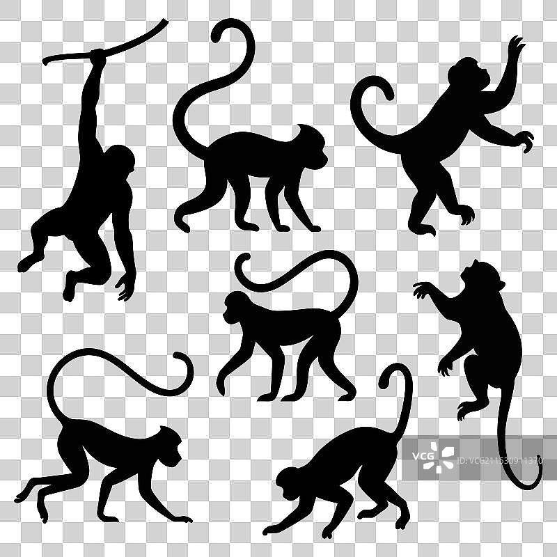 一组猴子剪影图片素材