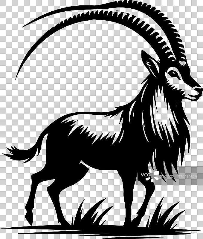 穆夫隆轮廓干净清晰图片素材