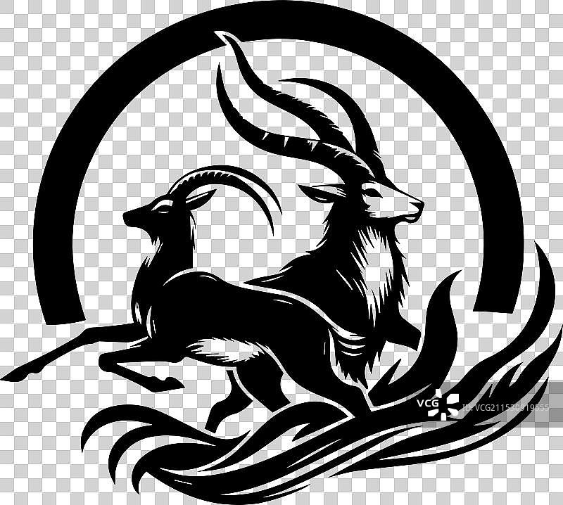 极简主义的穆夫隆羊，简单的白色背景图片素材