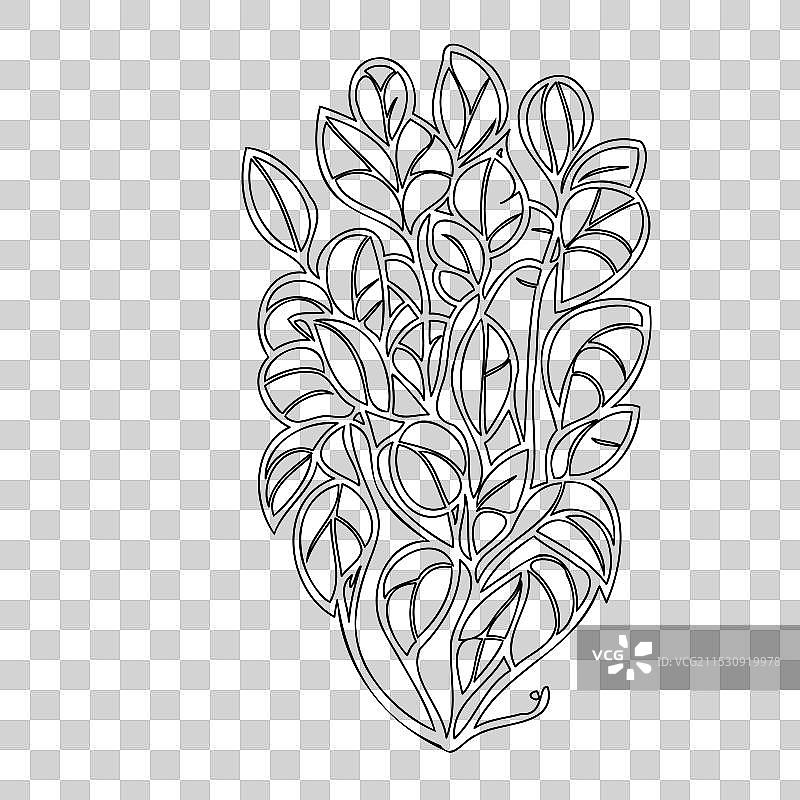 紫藤花植物素描轮廓图片素材