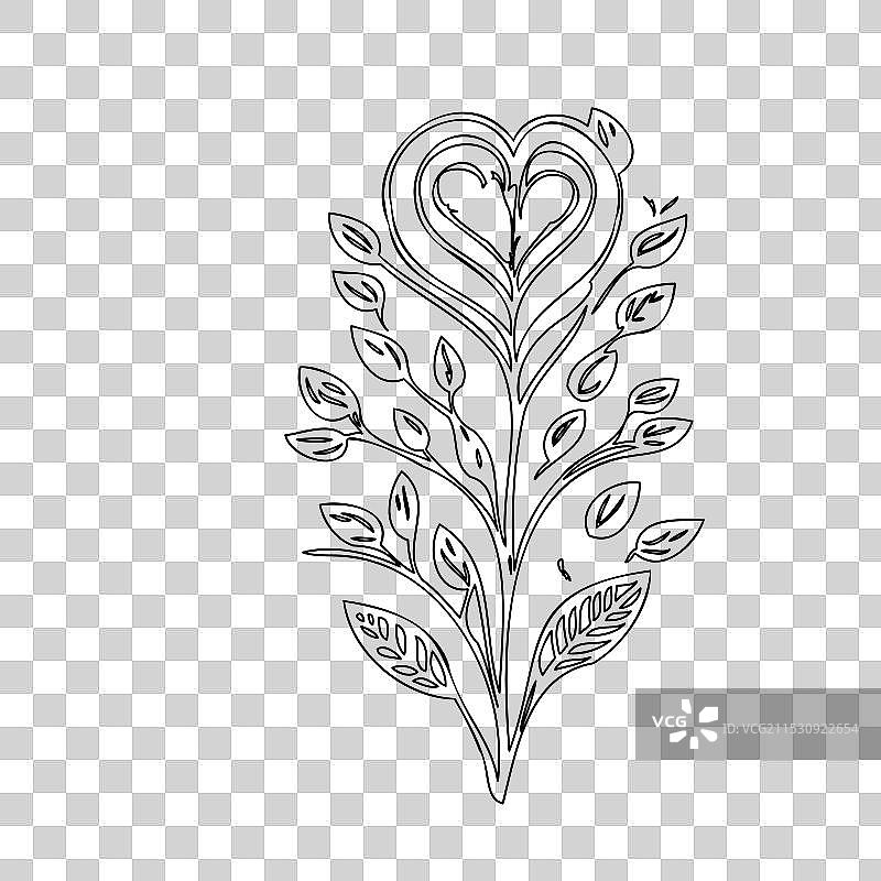 流血心花植物素描轮廓图片素材