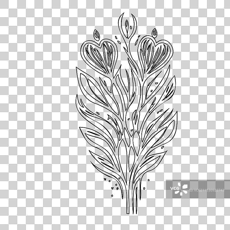 流血心花植物素描轮廓图片素材