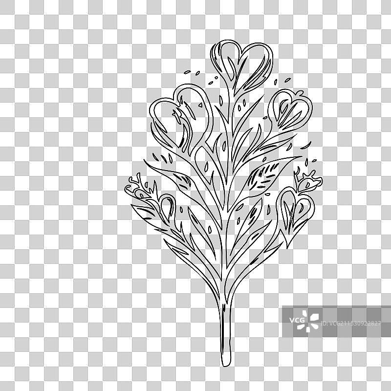 流血心花植物素描轮廓图片素材