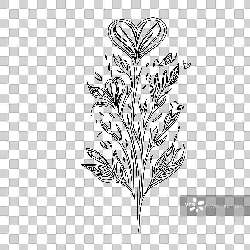 流血心花植物素描轮廓图片素材