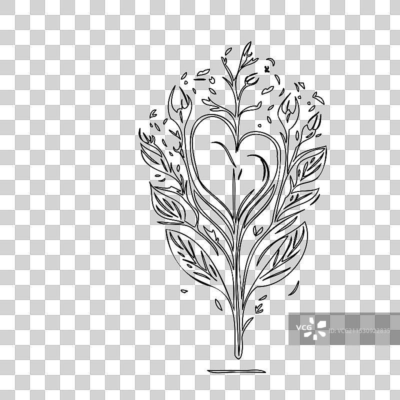 流血心花植物素描轮廓图片素材