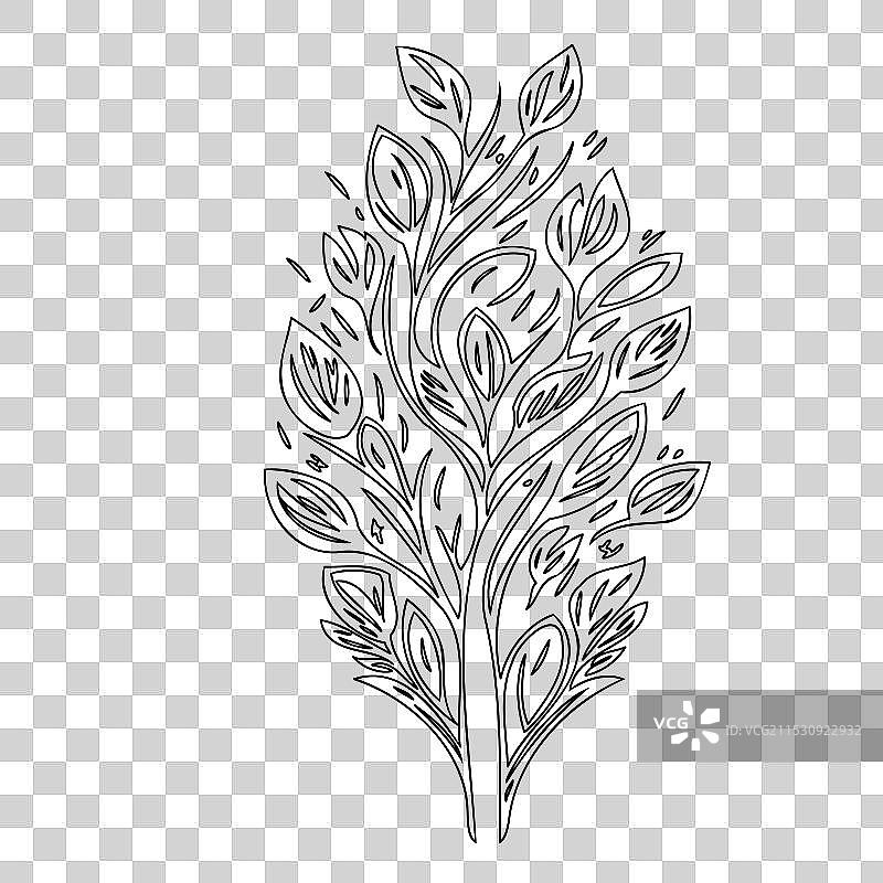 流血心花植物素描轮廓图片素材