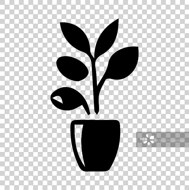 白色背景上的郁金香花瓶剪影图片素材