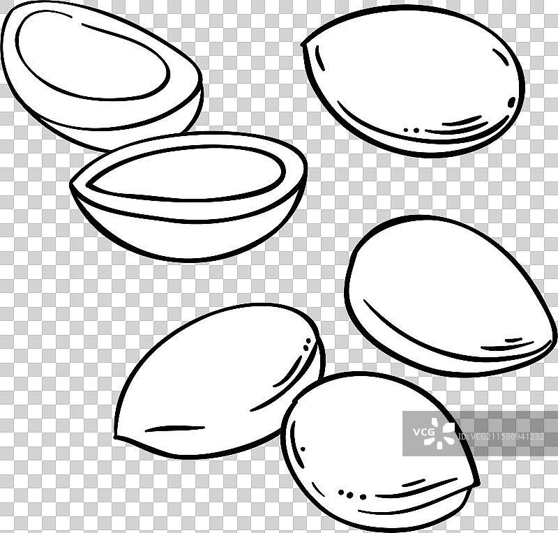 孤立的阿甘坚果轮廓图片素材