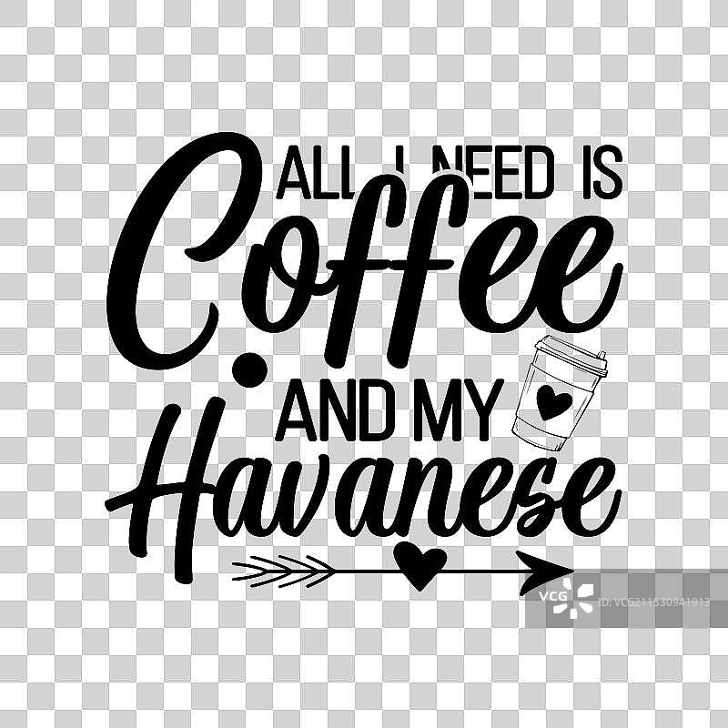 咖啡和哈瓦那犬的爸爸妈妈狗图片素材