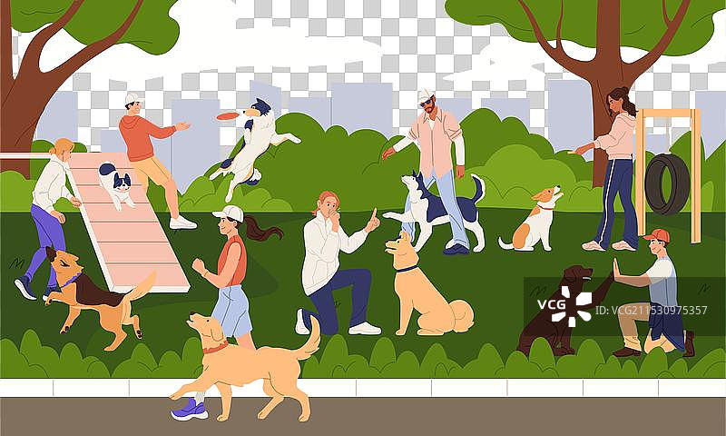 公园里人们带着小狗散步、玩耍和训练宠物图片素材