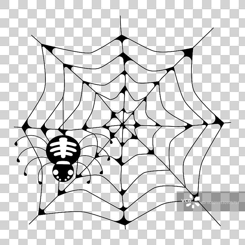 带有蜘蛛的网络图片素材