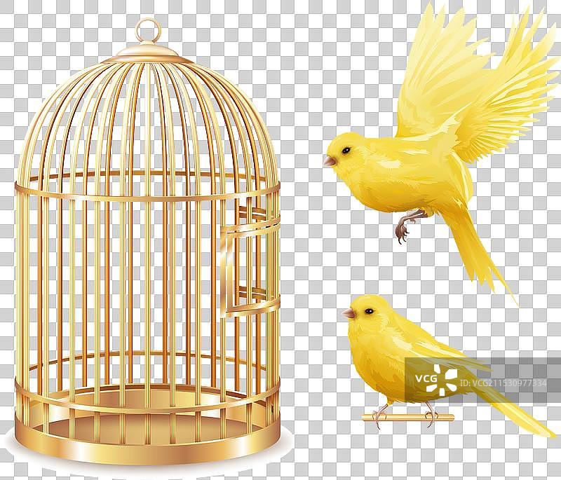 金色金丝雀鸟笼套装图片素材