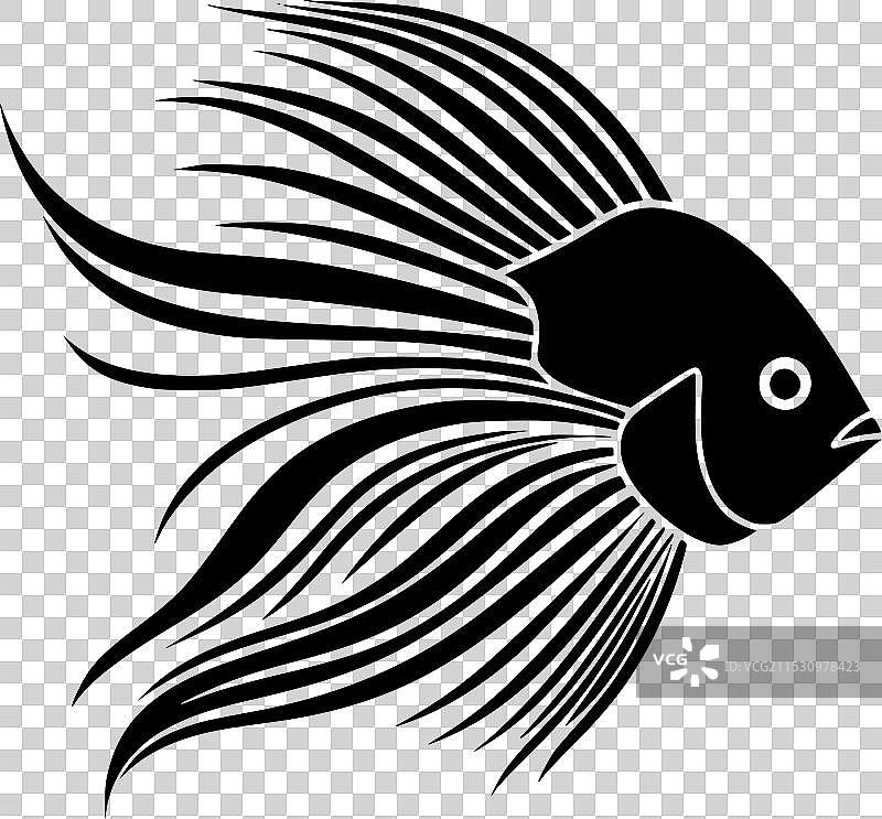 天使鱼 - 极简和简单的轮廓图片素材