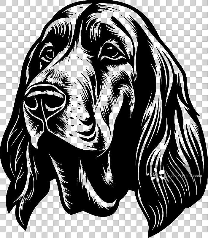 血猎犬 - 极简和简单的轮廓图片素材