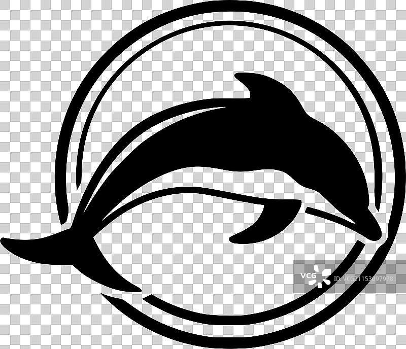 黑白海豚图片素材