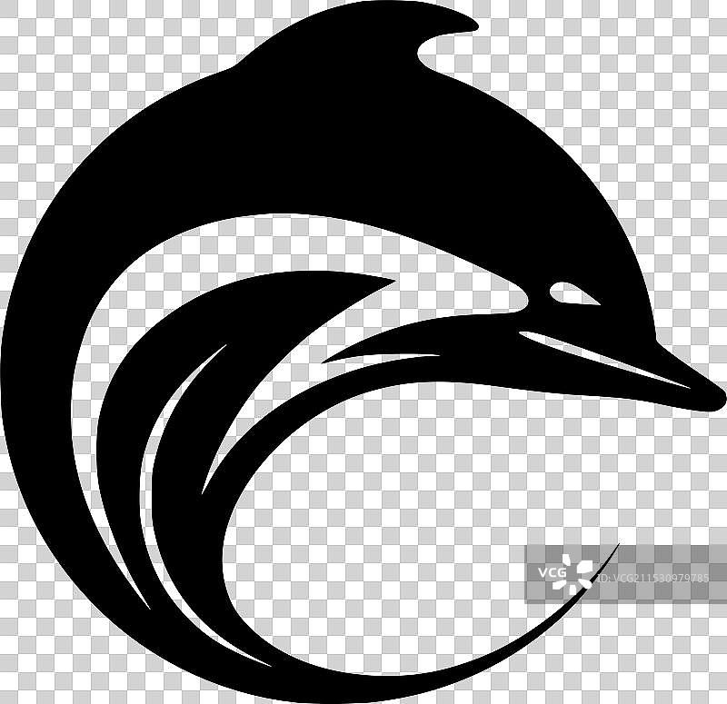 黑白海豚图片素材