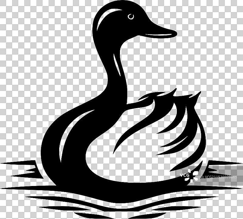 黑白鸭子图片素材