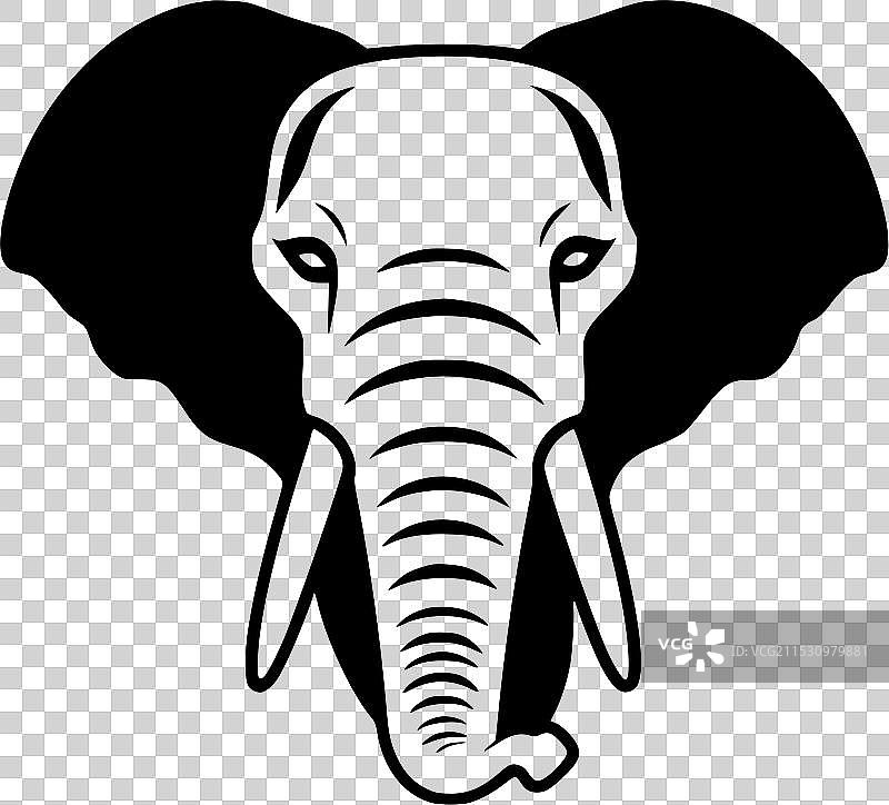 大象 - 黑白色图片素材