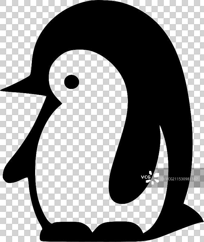企鹅 - 黑白色图片素材