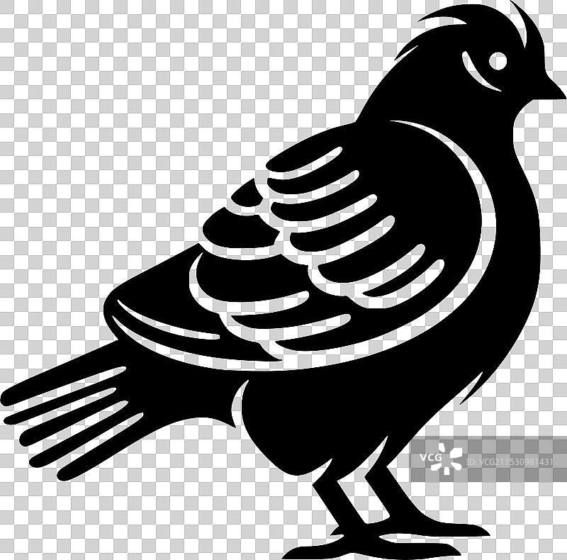 鸽子 - 高质量标志 - 适合T恤使用图片素材