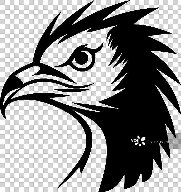 秃鹫 - 极简和简单的轮廓图片素材